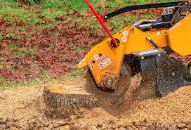 Best Weed Control  in Scotts Valley, CA