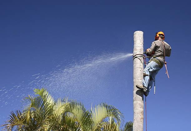 Best Soil Testing and Treatment  in Scotts Valley, CA